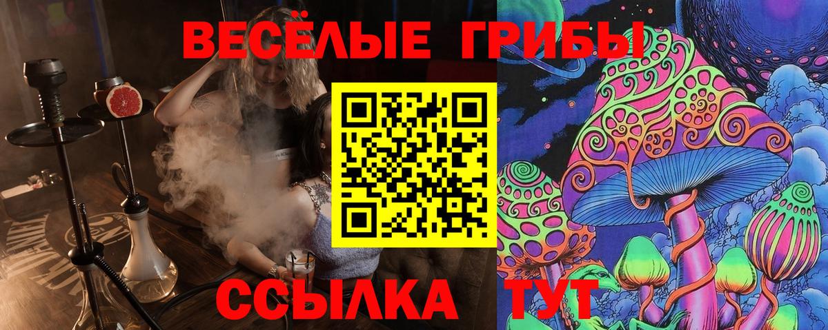 Можайск  Псилоцибиновые грибы мицелий  Вход с VPN 