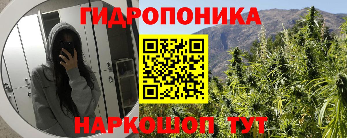 Шишки марихуана семена  Канабис конопля  Можайск  Вход с VPN  Канабис семена  Бошки Шишки семена 